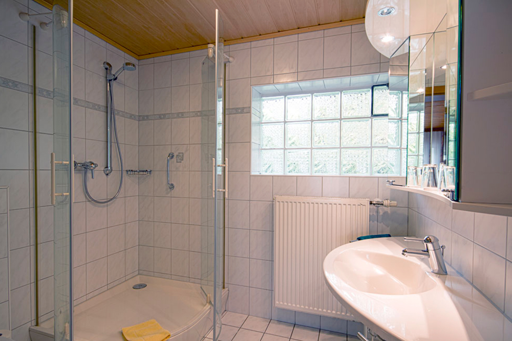 Freundliches Bad mit großzügiger Duschkabine, Waschbecken und komfortablen Spiegelschrank sowie WC